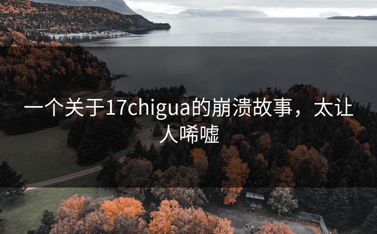 一个关于17chigua的崩溃故事，太让人唏嘘