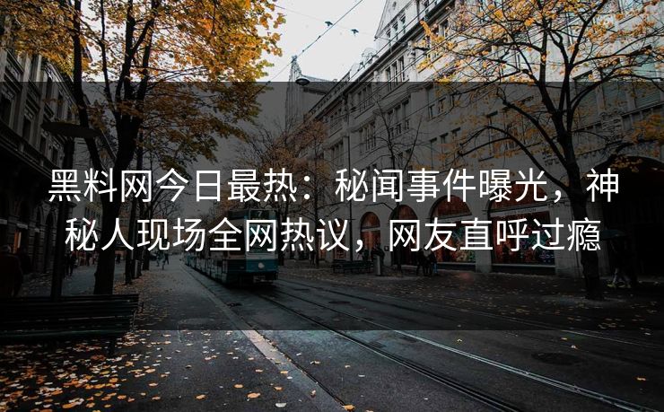 黑料网今日最热：秘闻事件曝光，神秘人现场全网热议，网友直呼过瘾