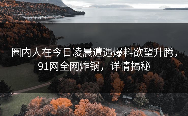 圈内人在今日凌晨遭遇爆料欲望升腾，91网全网炸锅，详情揭秘