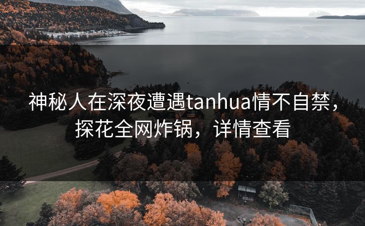 神秘人在深夜遭遇tanhua情不自禁,探花全网炸锅,详情查看 神秘人在深夜遭遇tanhua情不自禁,探花全网炸锅,详情查看